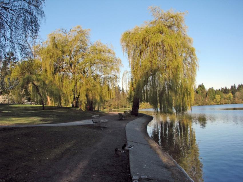 Lost Lagoon Vancouver