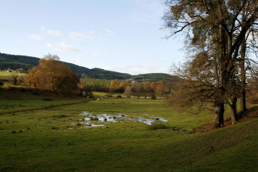 Paysage du Charolais