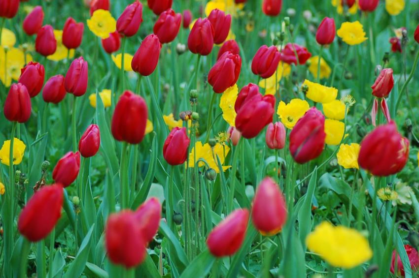 palette de couleurs