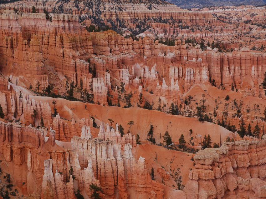 Bryce