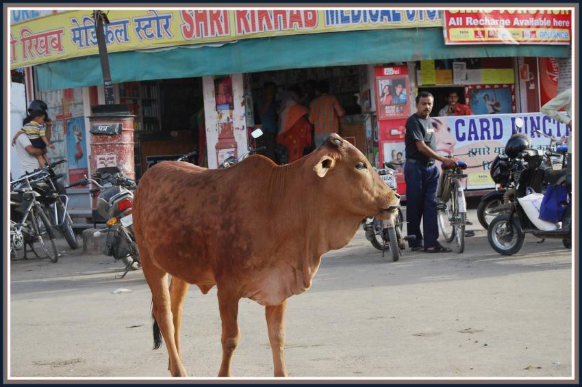 Bikaner - Rajasthan