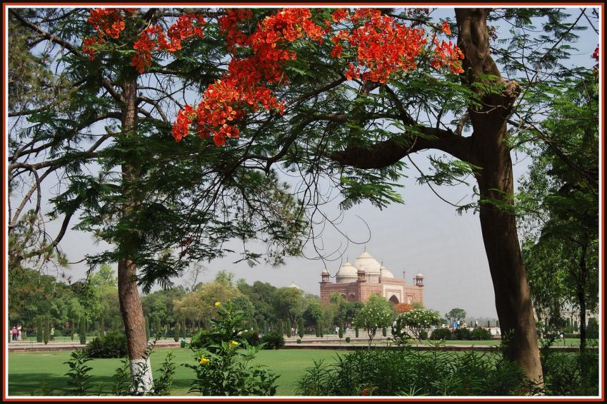 Taj-Mahal