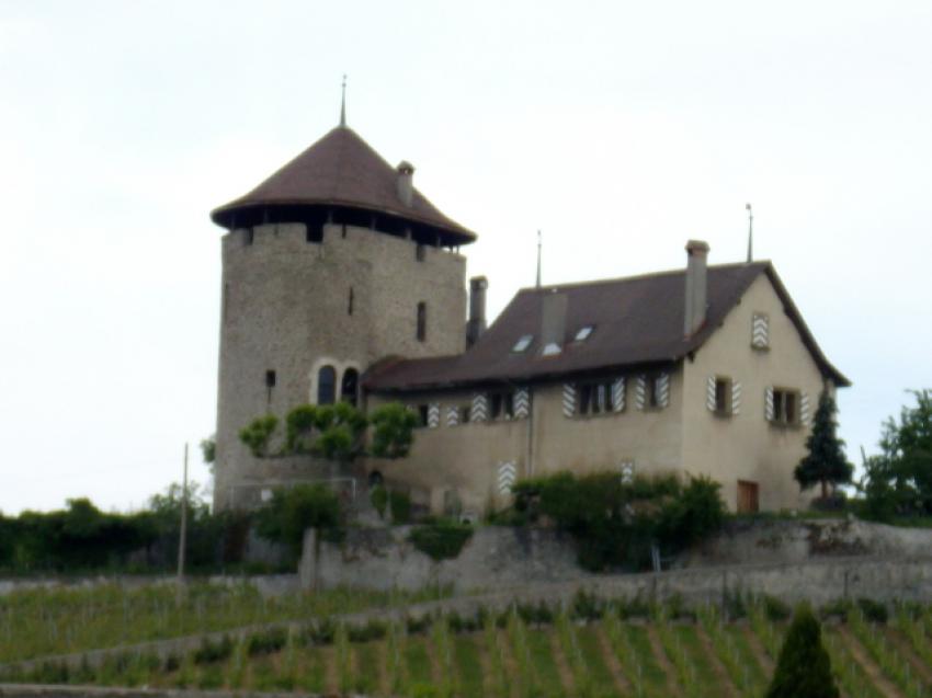 Maison des vignes, Lutry