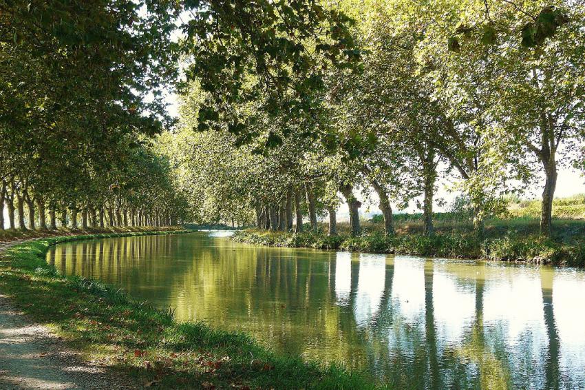 Sur les berges du Canal du Midi