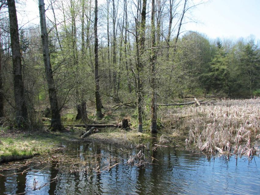 Jericho Park Vancouver Canada