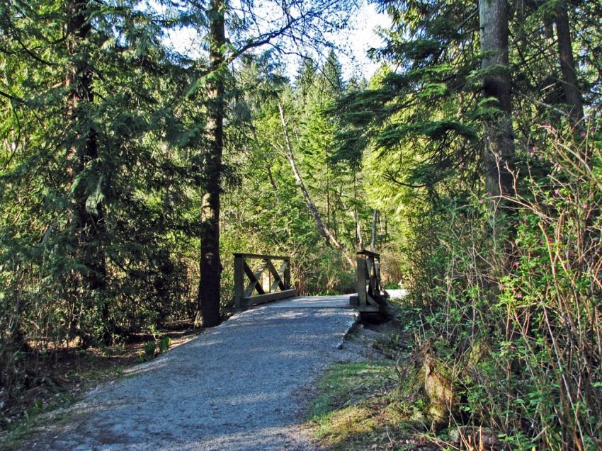 Beaver Lake Vancouver