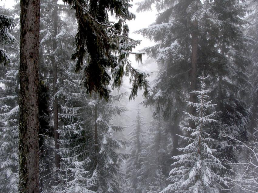 Courchevel sous la neige