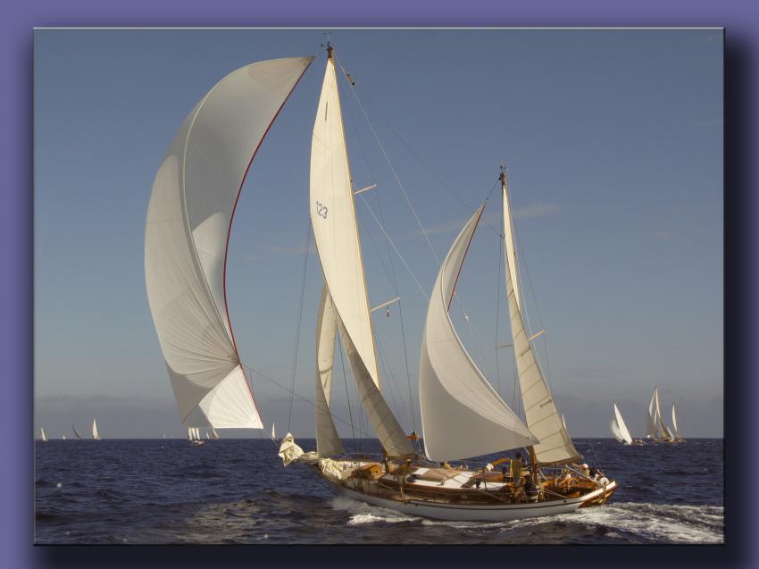 Voiles de Saint Tropez