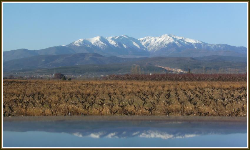 Le Canigou (dans les Pyrnes orientales)