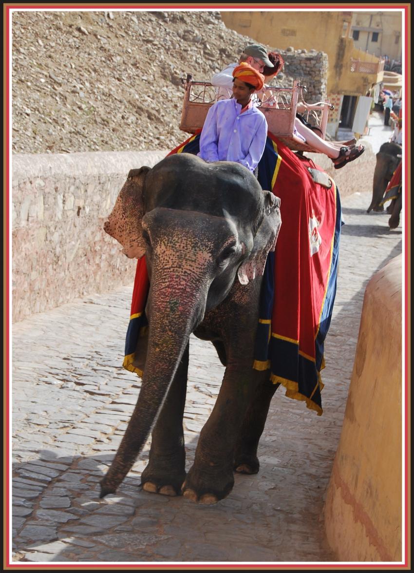 Jaipur - Rajasthan