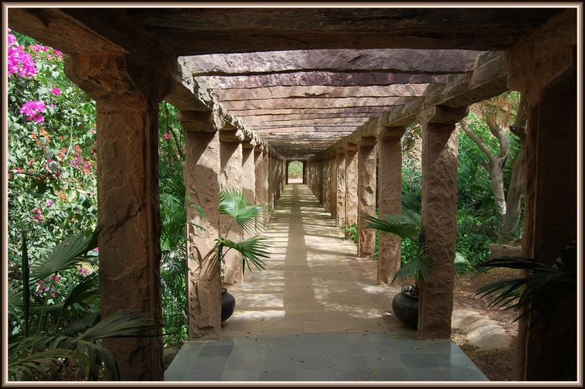 Sariska - Rajasthan