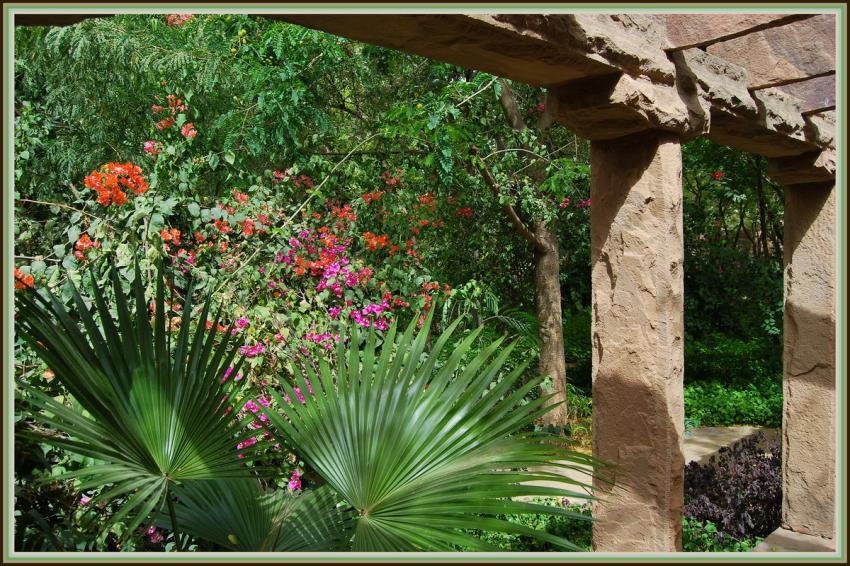 Sariska - Rajasthan