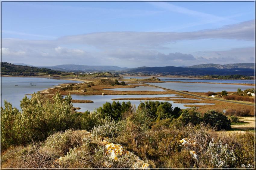 Etang de Bages