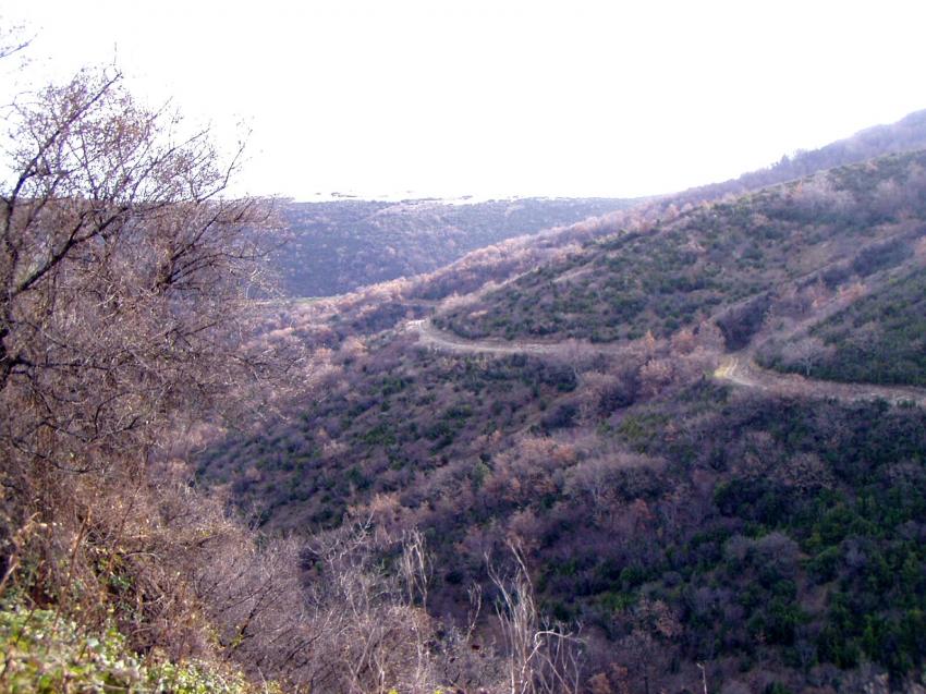 paysage