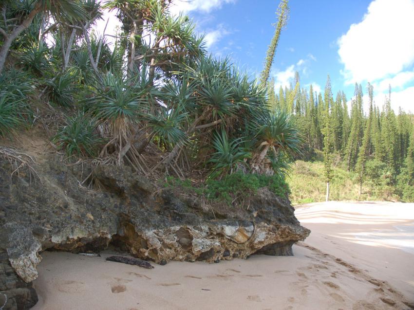 plage caldonienne