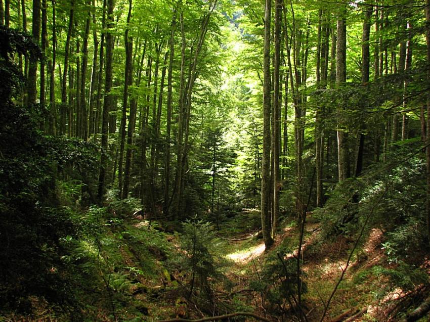 La grande Combe