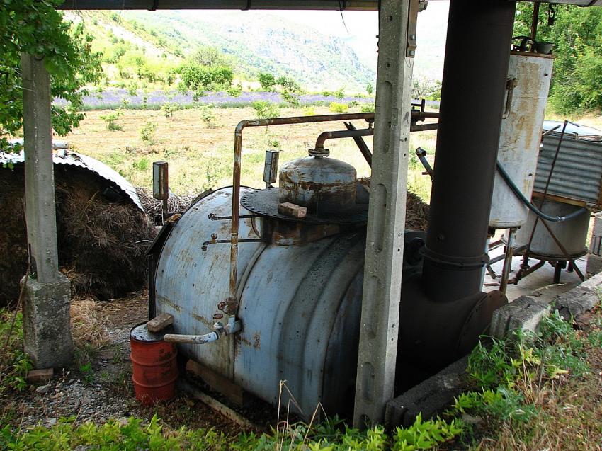 Alambic pour essence de lavande