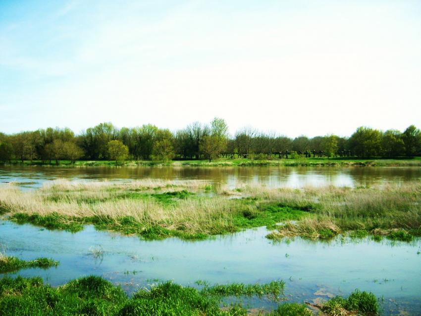 la vieille Loire