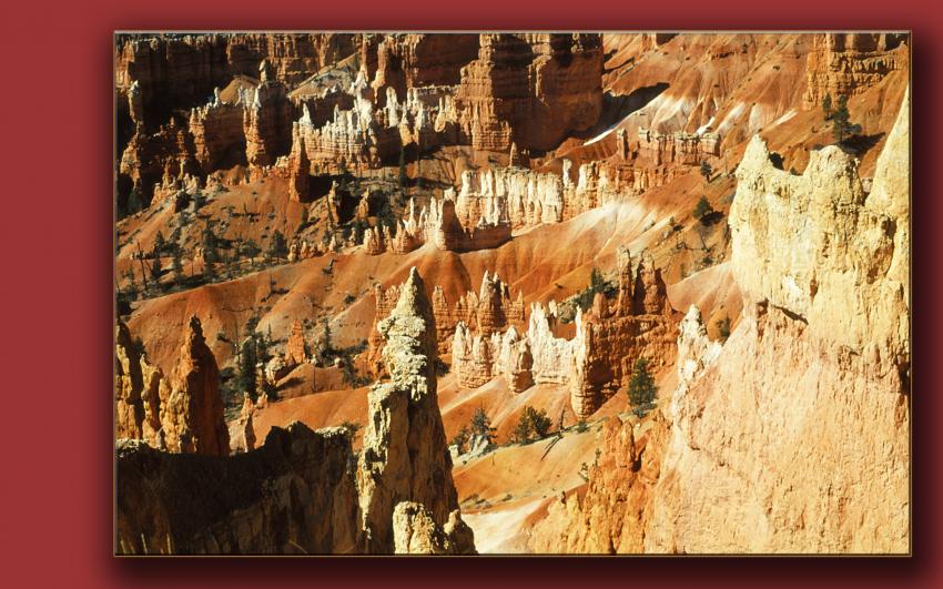 Bryce canyon