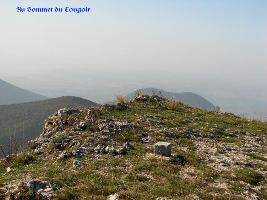 Le Cougoir