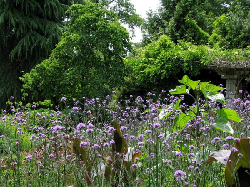 Au jardin botanique