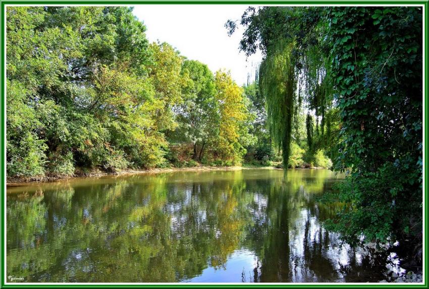 Les bords de Loir