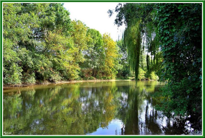 Les bords de Loir