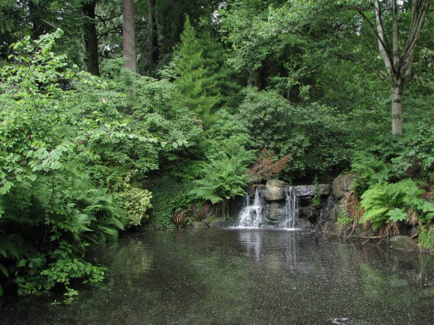 Cascade  Stanley Park Vancouver