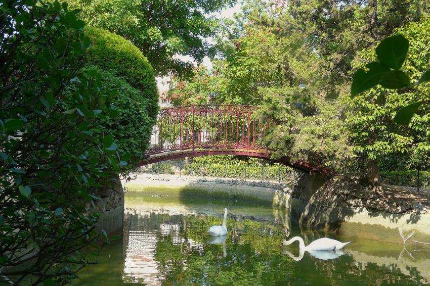 Le pont aux cygnes
