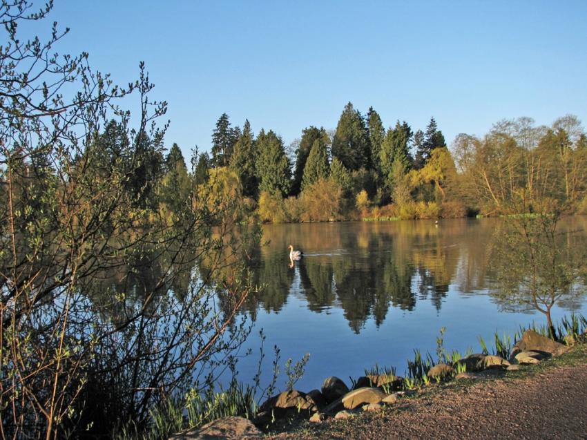 Lost Lagoon Vancouver