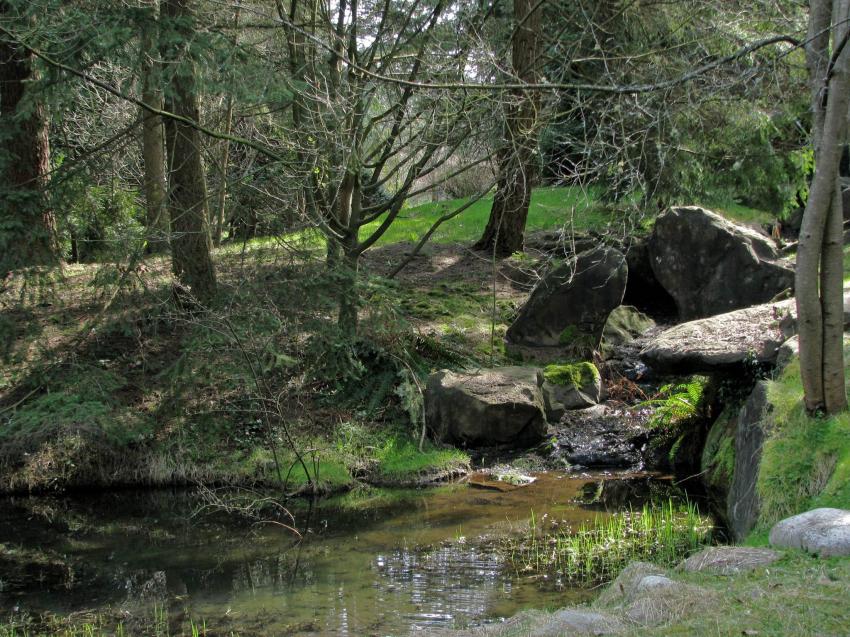 Arbres et petit cours d'eau