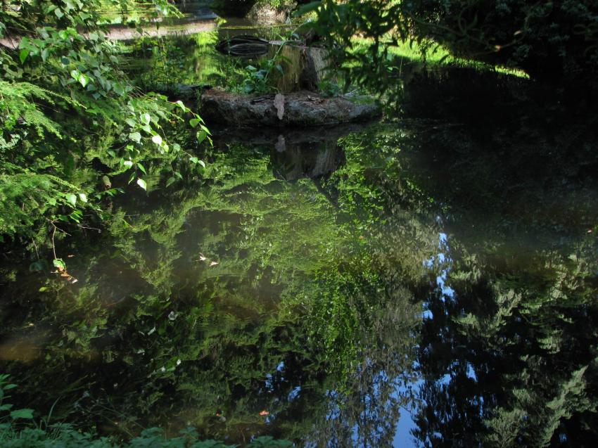 Reflets