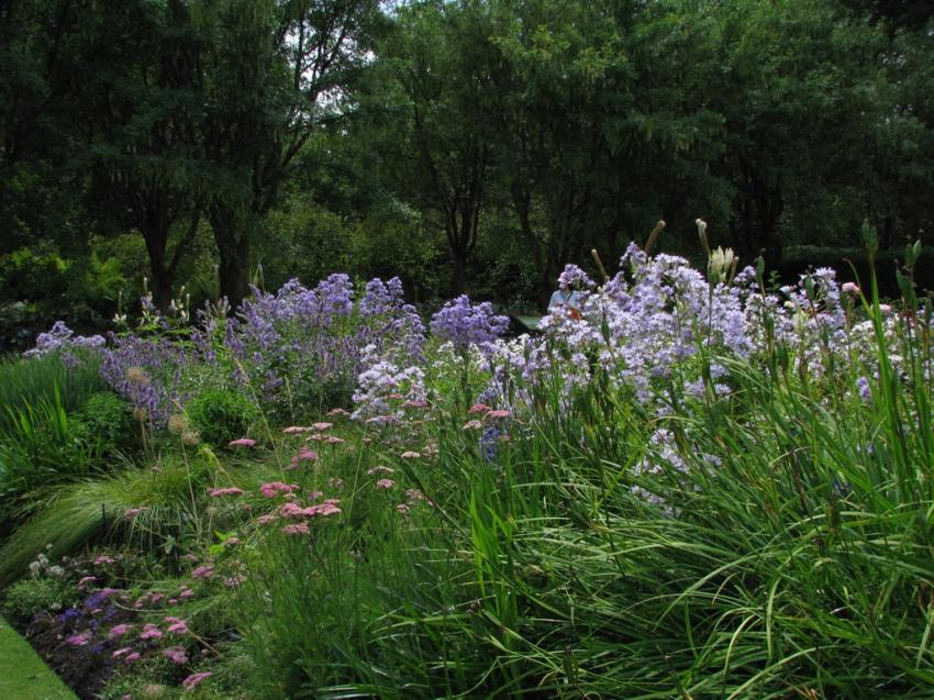 Au jardin botanique