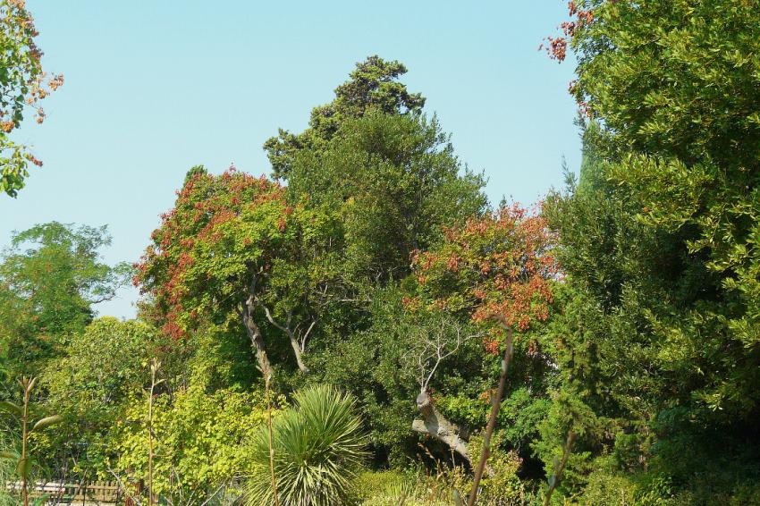 Dbut d'automne dans le parc