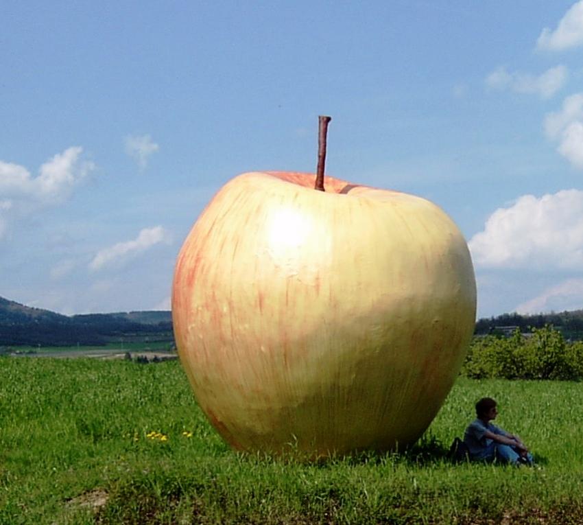  l'ombre de la pomme ! ! ! !