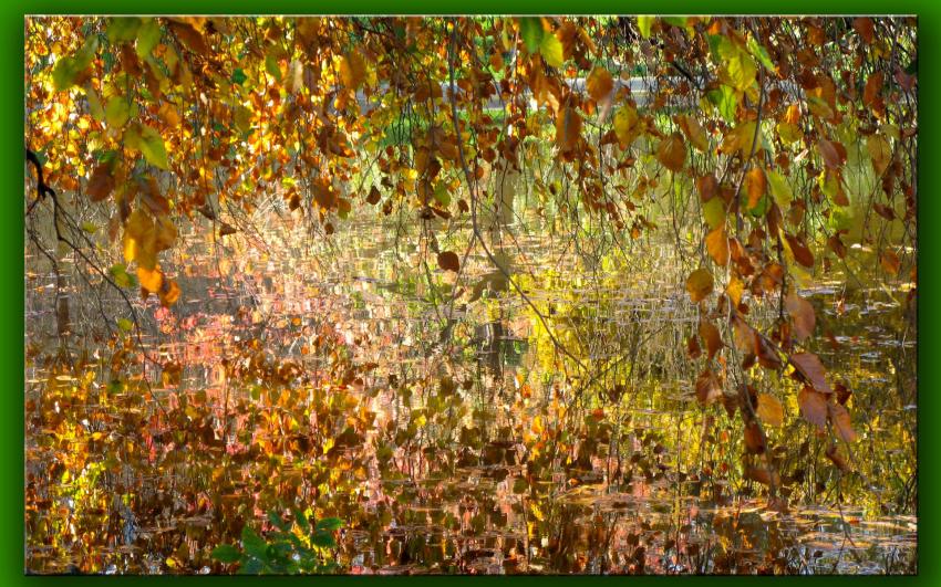 Reflets