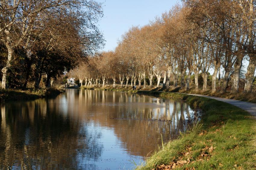 Canal du Midi en hiver.