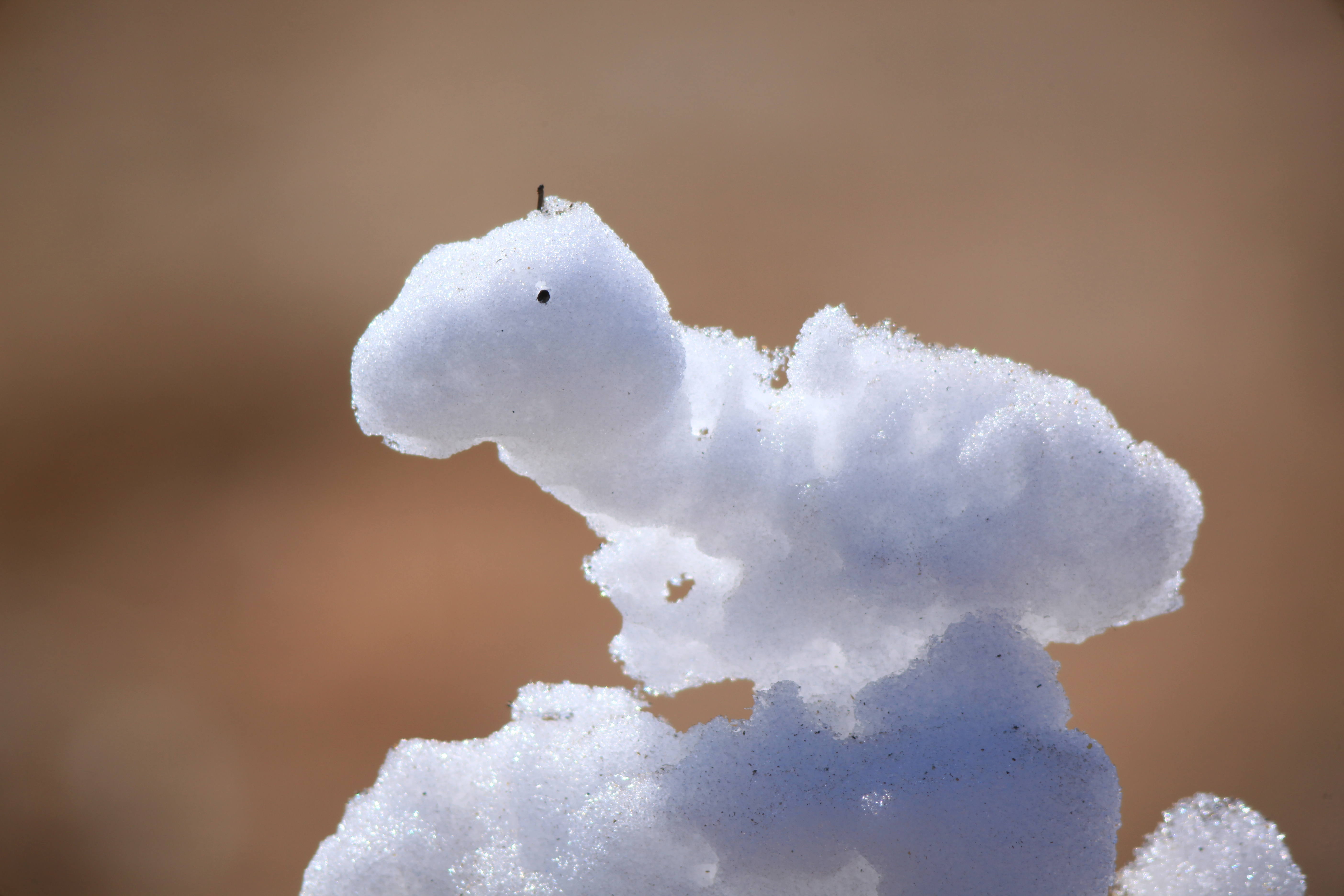 Morceau de neige qui fond.