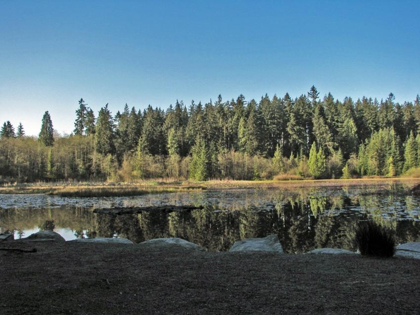 Beaver Lake Vancouver