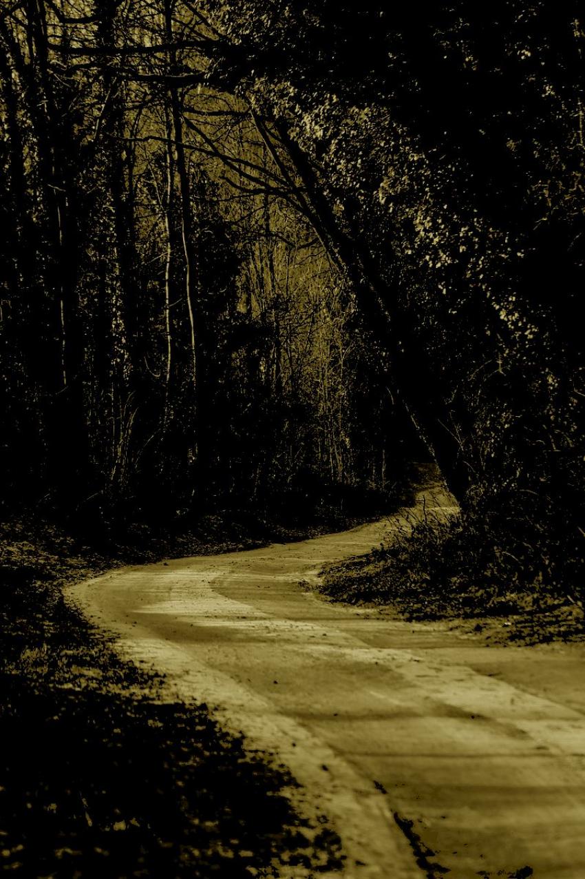Le chemin