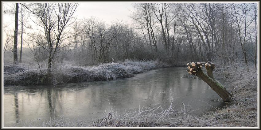 Marais d'Isle  St-Quentin (02)