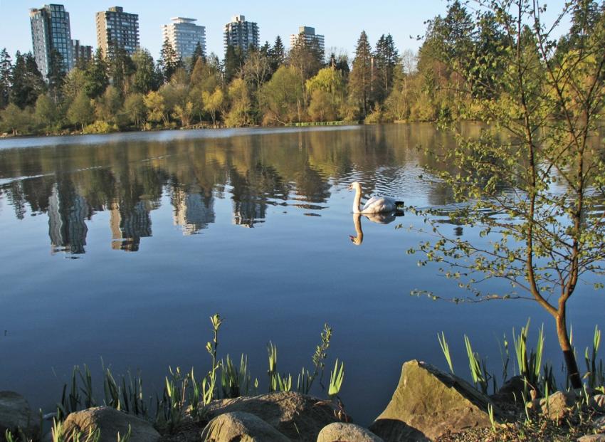 Lost Lagoon Vancouver