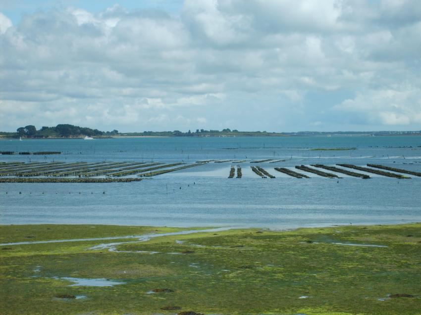 parcs  hutres sur l'le aux Moines