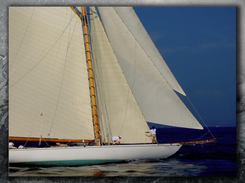 Voiles 2009