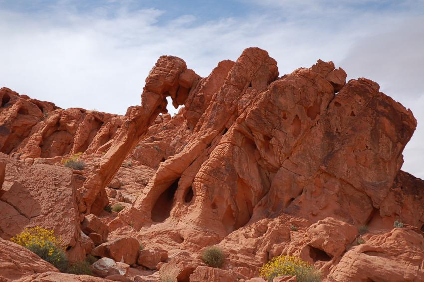 Elephant rock