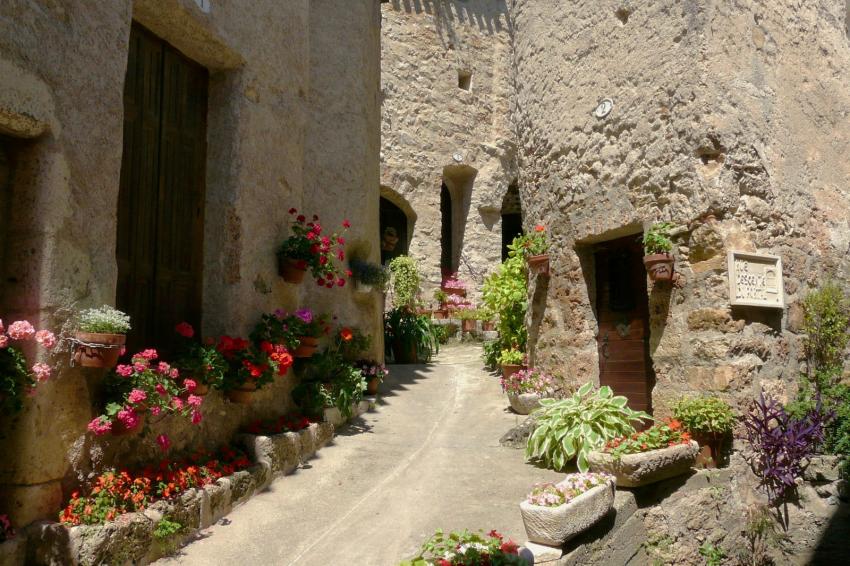 Cour intérieure à St Guilhem le Désert (34)