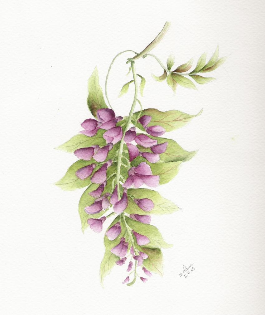 glycine