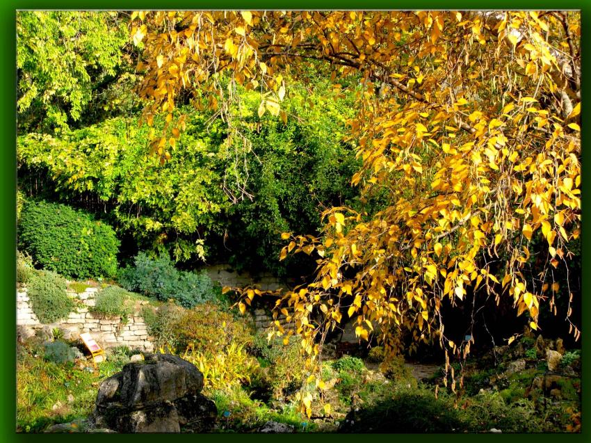 Jardin des plantes