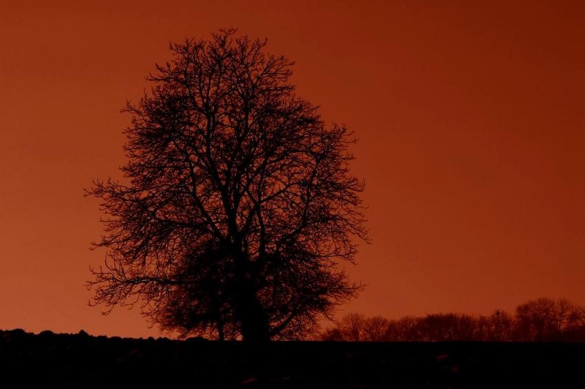 Le rouge et le noir