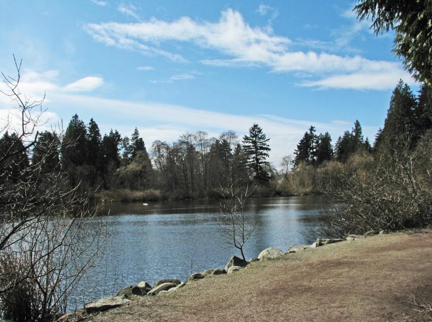 Parc Stanley et son Lost Lagoon, Vancouver -8-